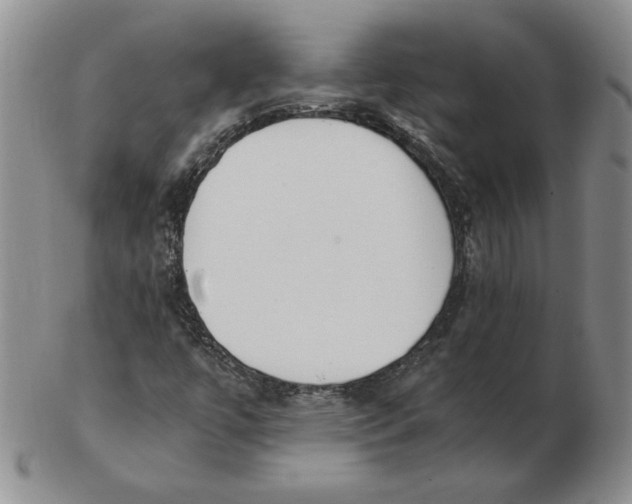 X0000102371447200808221728