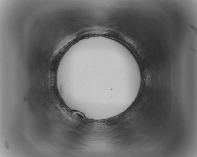 X0000102371448200808221728