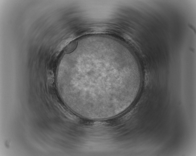 X0000102371449200808221728