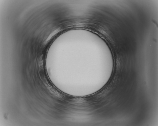 X0000102371450200808221728