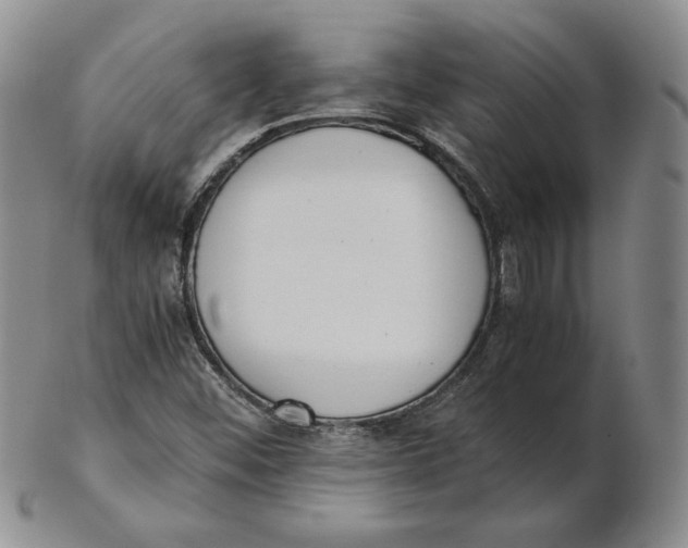 X0000102371452200808221728