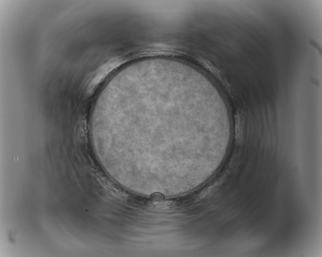 X0000102371453200808221728