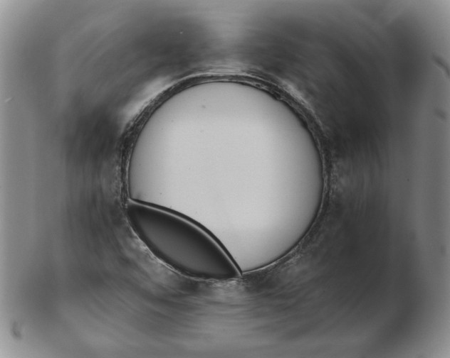 X0000102371456200808221728