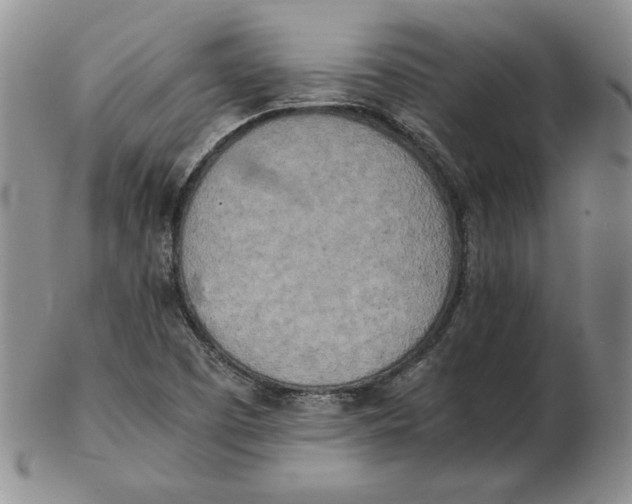 X0000102371457200808221728