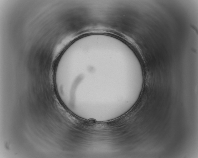 X0000102371464200808221728