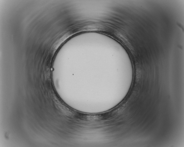 X0000102371465200808221728