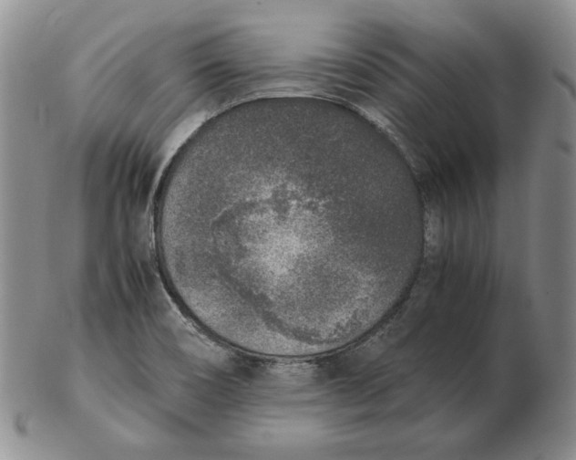 X0000102371466200808221727