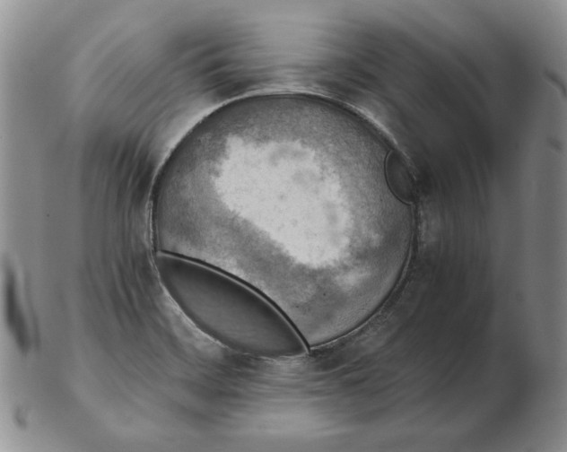 X0000102371468200808221727