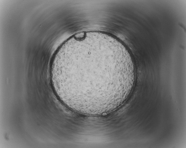 X0000102371469200808221727