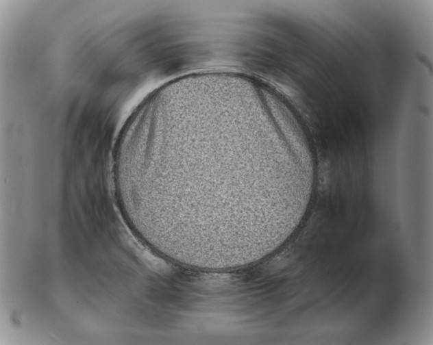 X0000102371470200808221727