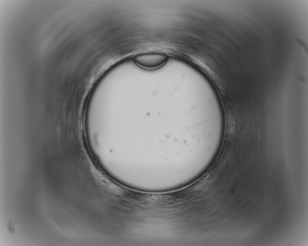 X0000102371471200808221727