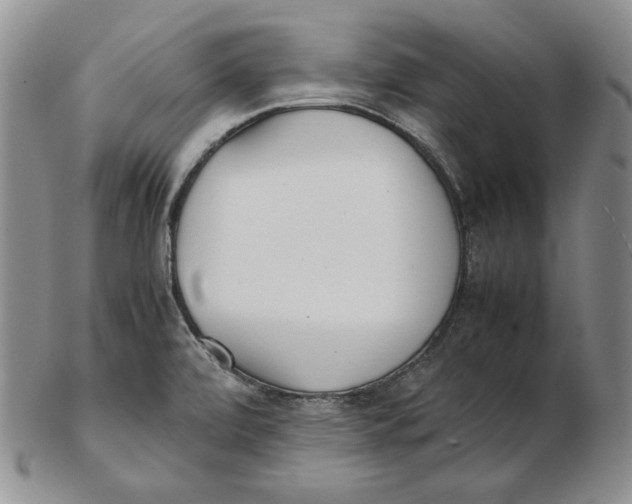 X0000102371472200808221727