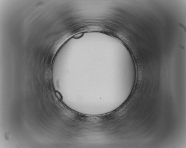 X0000102371473200808221727