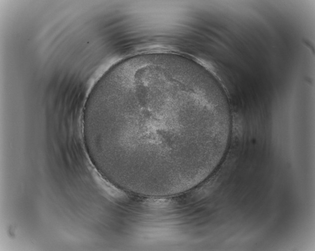 X0000102371474200808221727