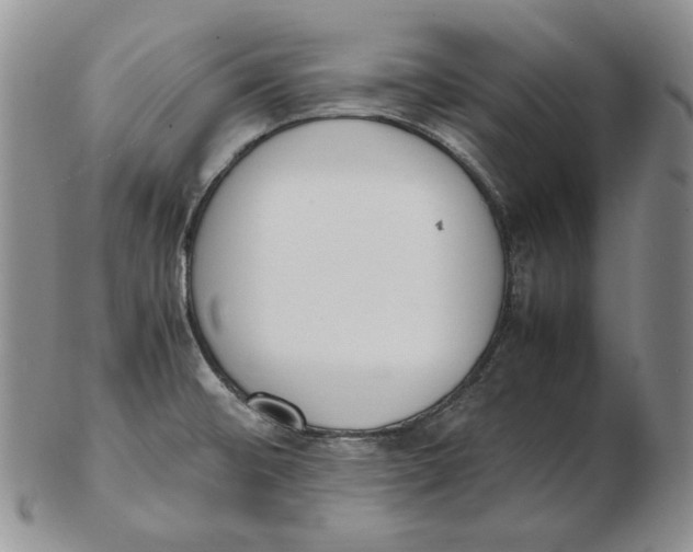 X0000102371476200808221727