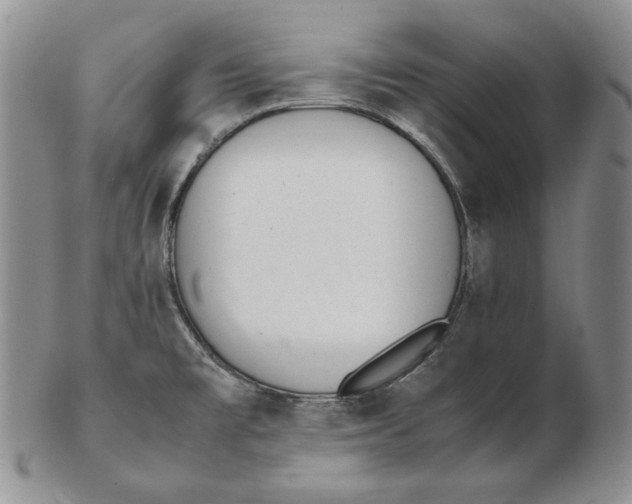 X0000102371477200808221727