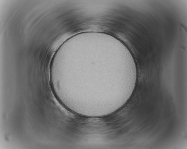 X0000102371479200808221727