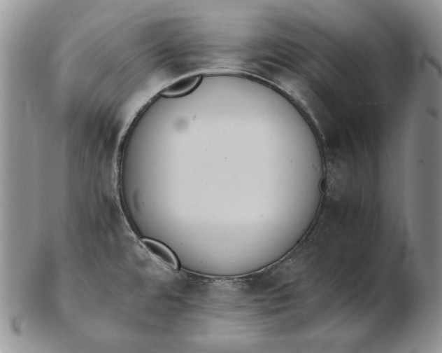 X0000102371480200808221727