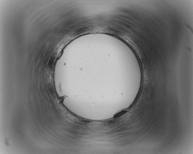 X0000102371481200808221727