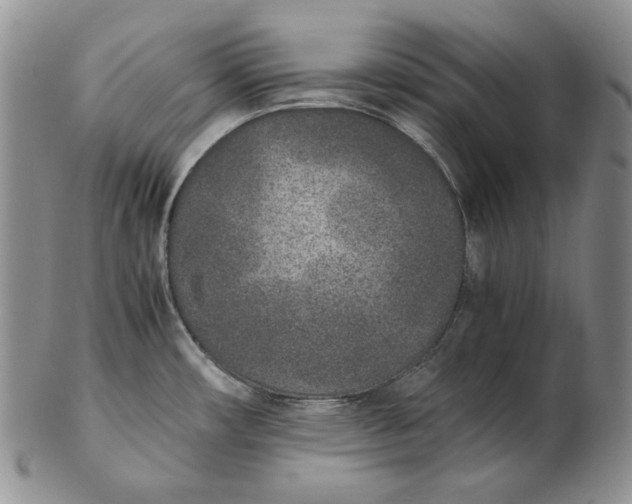 X0000102371482200808221727