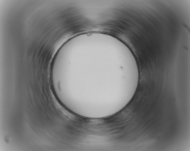 X0000102371483200808221727