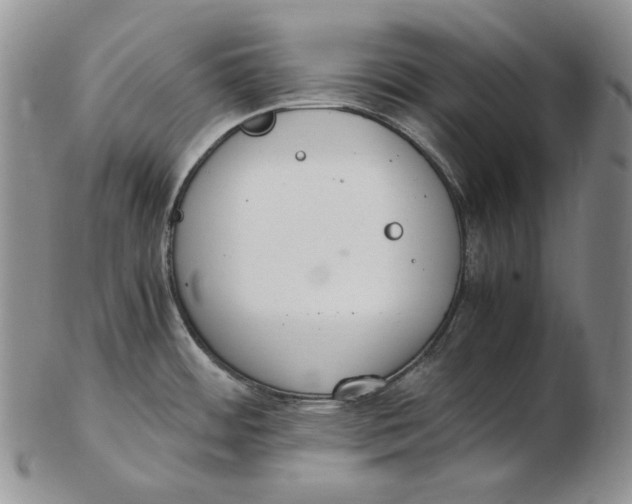 X0000102371484200808221727