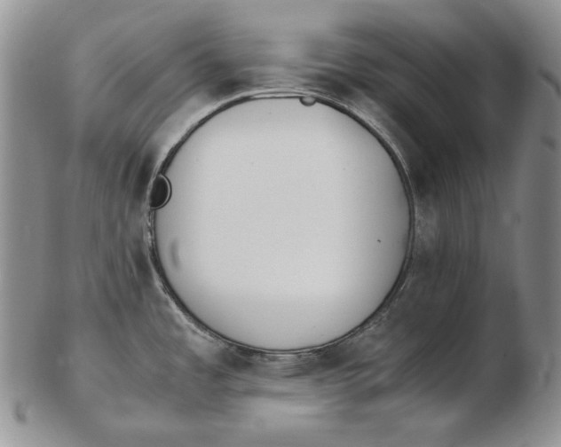 X0000102371485200808221727