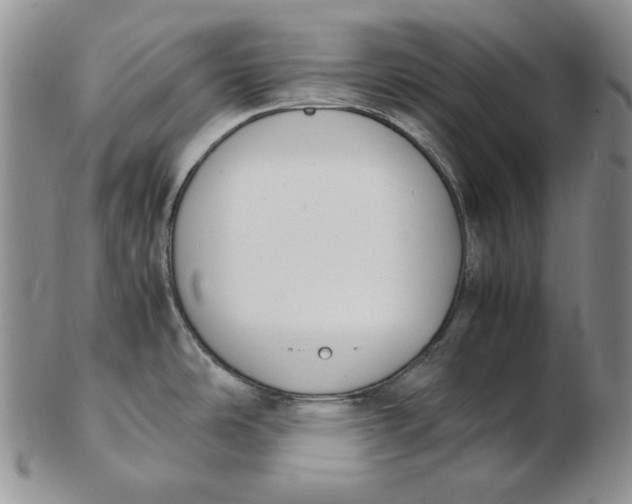 X0000102371486200808221727