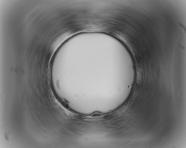 X0000102371487200808221727