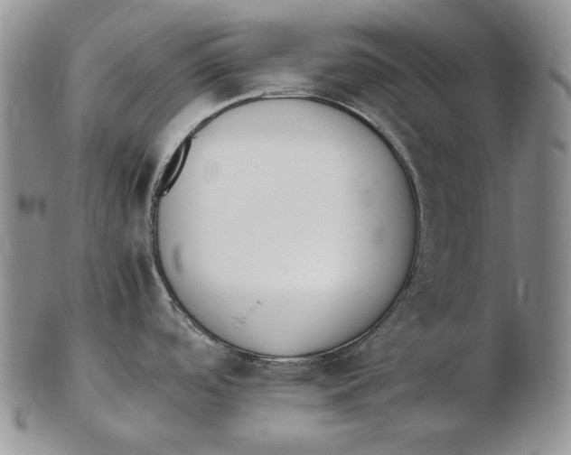 X0000102371488200808221727