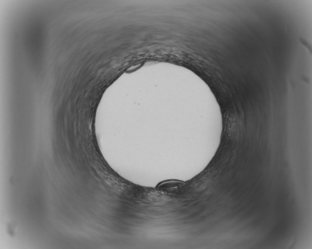 X0000102371489200808221727