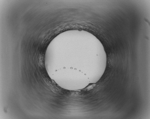 X0000102371490200808221727