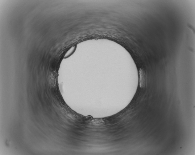 X0000102371491200808221727