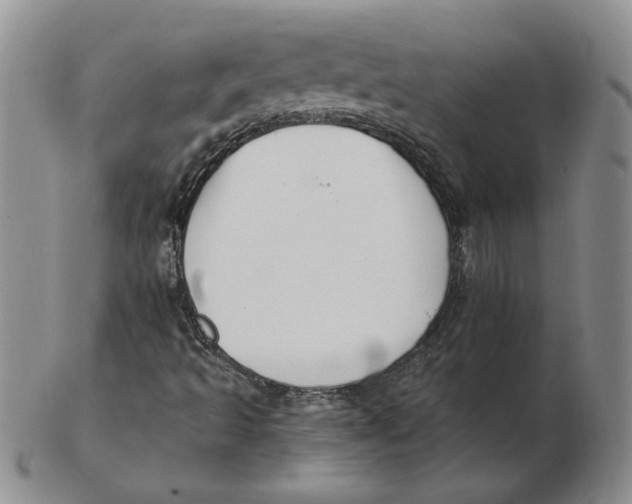 X0000102371493200808221727