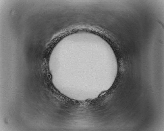 X0000102371494200808221727