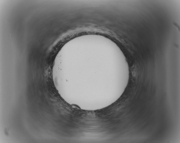 X0000102371495200808221727