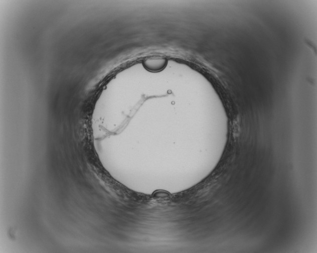 X0000102371496200808221727