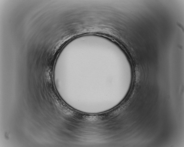 X0000102371497200808221727