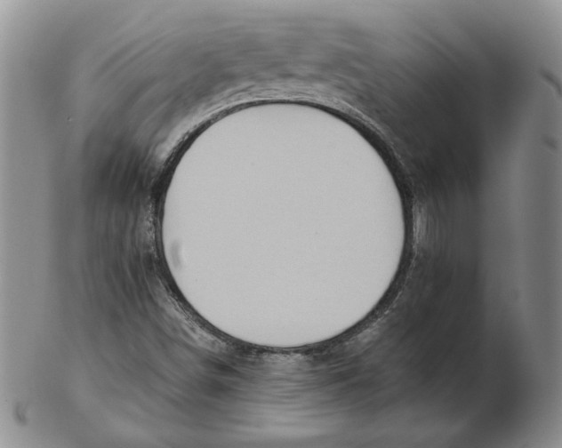 X0000102371498200808221727