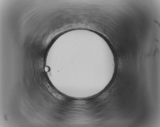 X0000102371499200808221727