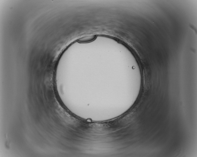 X0000102371500200808221727