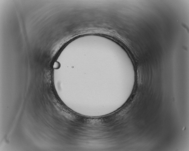 X0000102371501200808221727