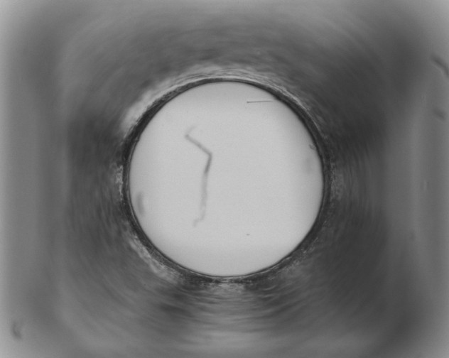 X0000102371503200808221727