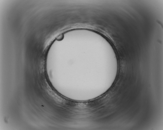 X0000102371504200808221727