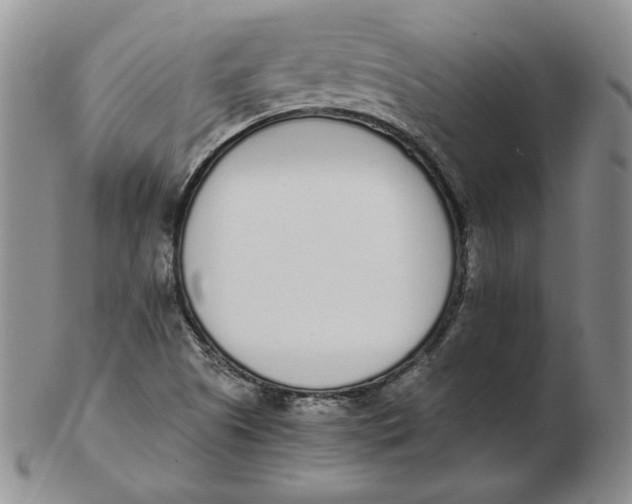 X0000102371505200808221727