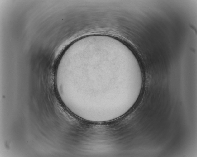 X0000102371506200808221727