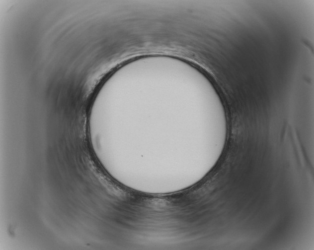 X0000102371507200808221727