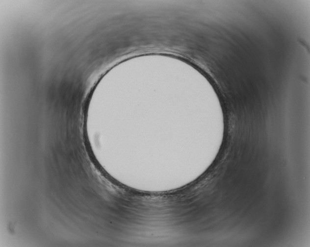 X0000102371508200808221727