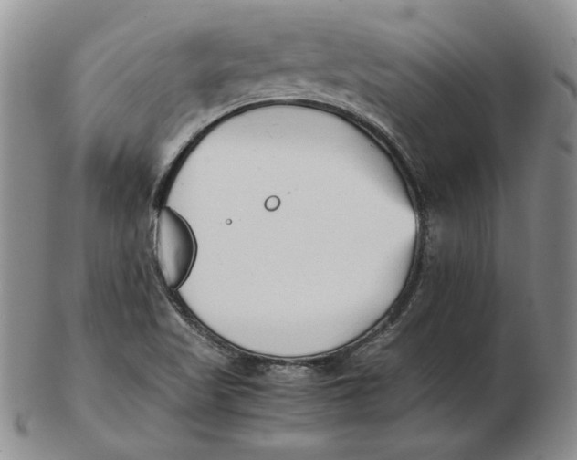 X0000102371509200808221727