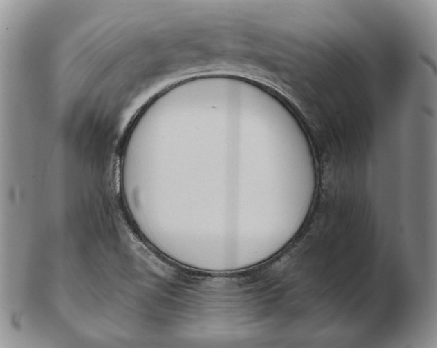 X0000102371510200808221727